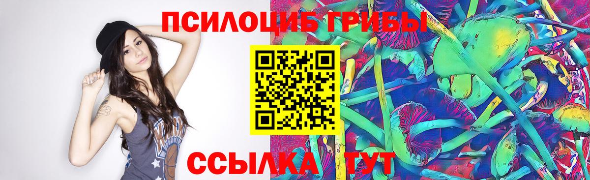 магазин  наркотиков  Вход с VPN  Королёв  Псилоцибиновые грибы мухоморы  Галлюциногенные грибы прущие грибы 