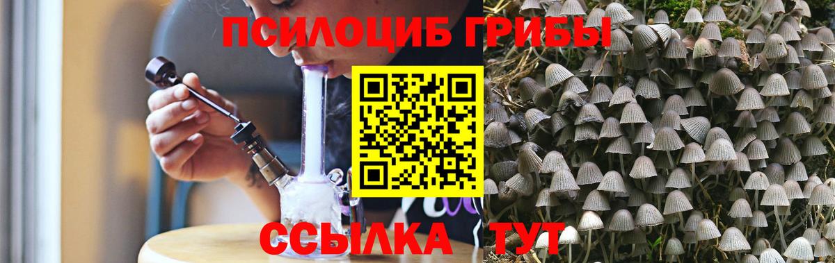 Галлюциногенные грибы Psilocybine cubensis Королёв